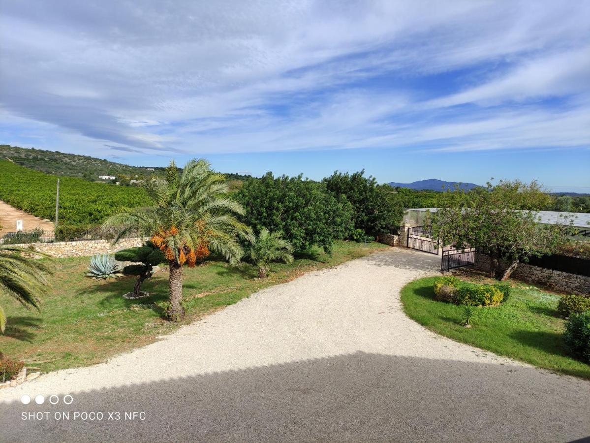 Finca Tierra Roja Calig Exterior photo